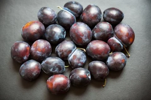 Plums on black background Stock Photos