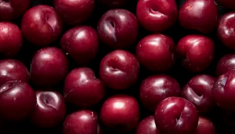 Plums on black background Stock Photos