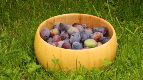 Plums in a bowl Stock Footage 8577624