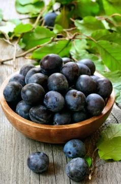 Plums in bowl Stock-Fotos