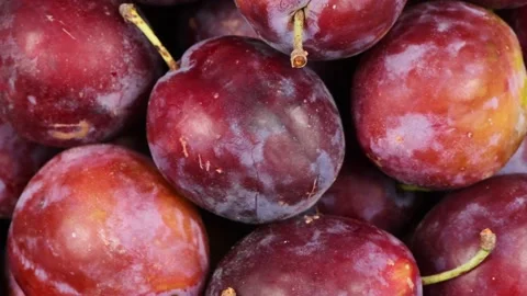 Plums close-up. Loop motion. Side view. Rotation 360. Stock Footage 161316971