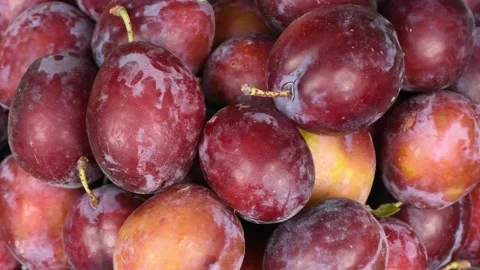 Plums close-up. Loop motion. Top view. Rotation 360. Stock Footage 161317495