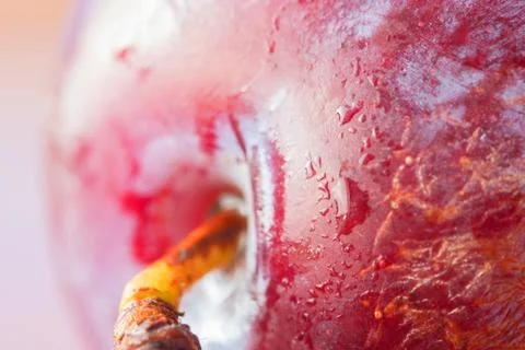 Plums in close-up Stock Photos