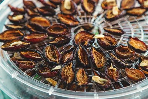 Plums dried in a dehydrator. Selective focus. Stock Photos