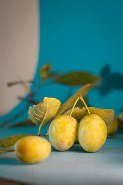 Plums with foliage on a blue background Stock Photos