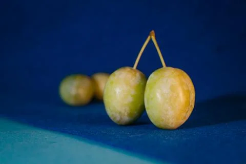 Plums with foliage on a blue background Stock Photos