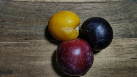 Plums Stock Footage