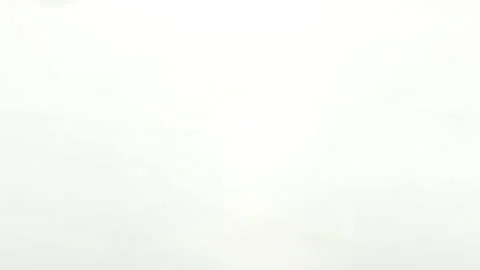 Plums Video stock 132989863