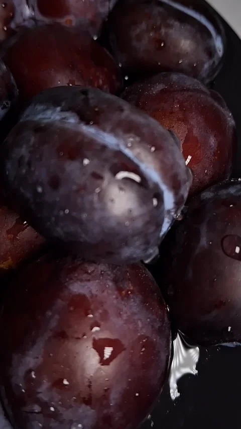 Plums Stock Footage 341424055