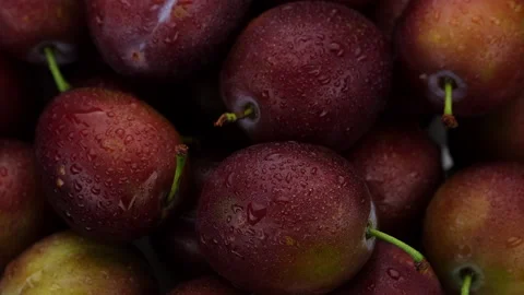 Plums. Fresh plums top view, rotation. Healthy Nutrition concept. 4K UHD video Stock-Footage 159119695