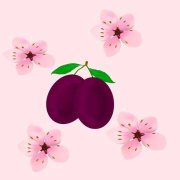Plums Illustrazione stock