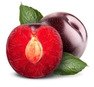 Plums isolated Stock Photos