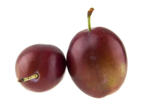 Plums isolated on white background Stock Photos