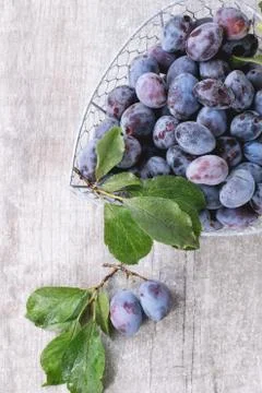 Plums with leaves Stock Photos
