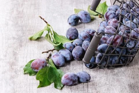 Plums with leaves Stock Photos