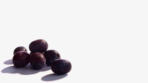PLUMS IN MOTION ON WHITE 01 Stock Footage