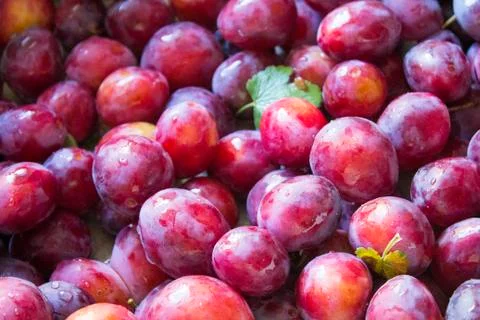 Plums pattern. correct and healthy eating. Vitamins Stock Photos
