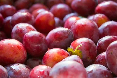 Plums pattern. correct and healthy eating. Vitamins Stock Photos