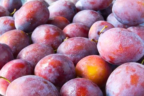 Plums Stock Photos