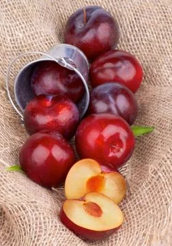 Plums Foto stock