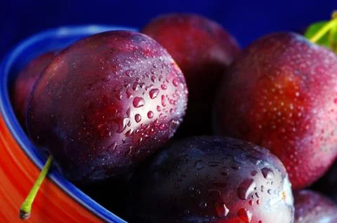 Plums Stock Photos