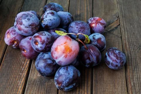 Plums Stock Photos