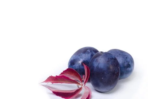 Plums Stock Photos