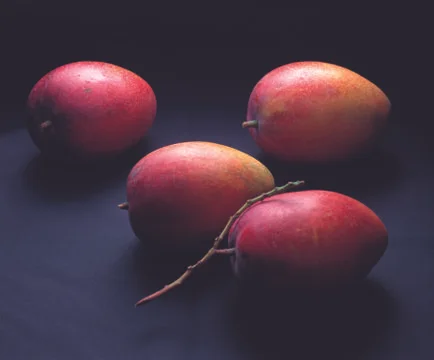 Plums Stock Photos