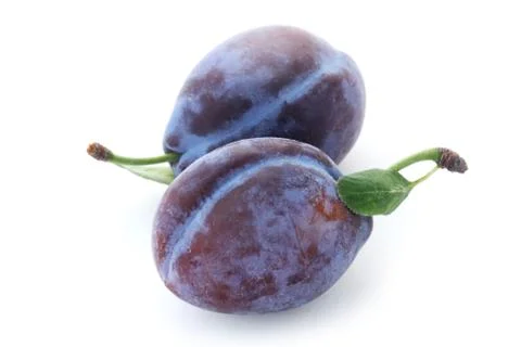 Plums Stock Photos