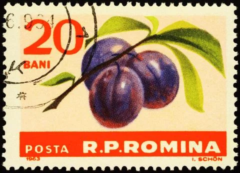 Plums on postage stamp Stock Photos