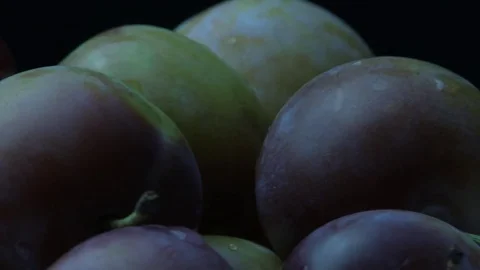 Plums rotation 스톡 동영상 79727359