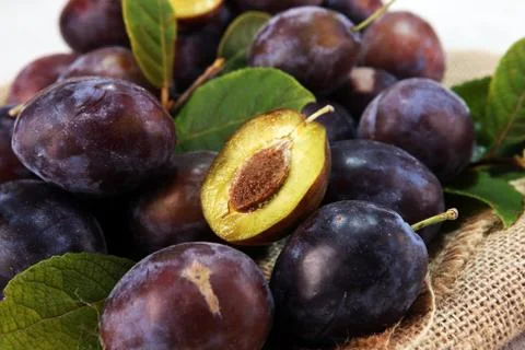 Plums on rustic background. Half of blue plum fruit. Many beautiful plums wit Stock Photos