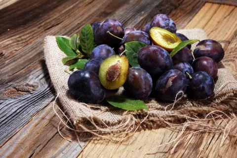 Plums on rustic background. Half of blue plum fruit. Many beautiful plums wit Stock Photos