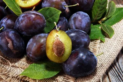 Plums on rustic background. Half of blue plum fruit. Many beautiful plums wit Stock Photos