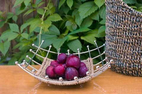 Plums On A Table Photos