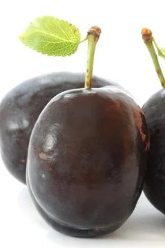 Plums on white background Stock Photos