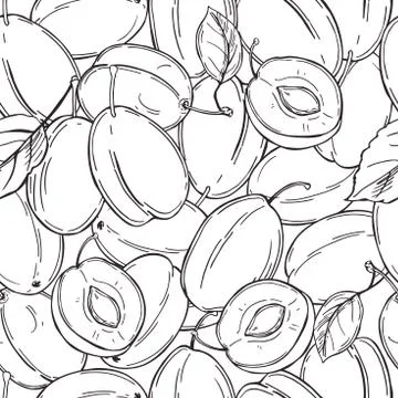 Plums on white background. Vector  pattern. Stock Illustration