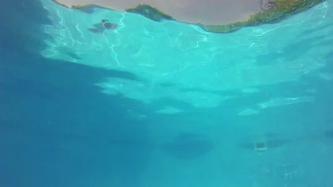 Plunge Pool Low Angle Under Water Shot Stockbeeldmateriaal 77592746