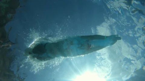 Plunging in water from below - slow motion shot at 100 fps Stock Footage 112663640
