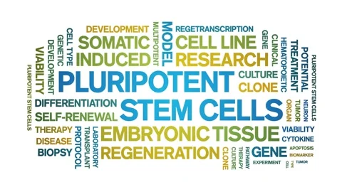 Pluripotent Stem Cells animated word cloud,animation kinetic typography loop. Stock Footage 311420938