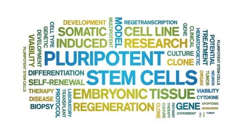 Pluripotent Stem Cells animated word cloud,animation kinetic typography loop. Stock Footage 311420945