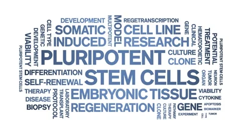 Pluripotent Stem Cells animated word cloud,animation kinetic typography loop. Stock Footage 311420954