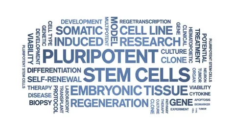 Pluripotent Stem Cells animated word cloud,animation kinetic typography loop. Stock Footage 311420959
