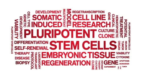 Pluripotent Stem Cells animated word cloud,animation kinetic typography loop. Stock Footage 311420961