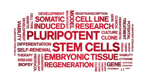 Pluripotent Stem Cells animated word cloud,animation kinetic typography loop. Stock Footage 311420964