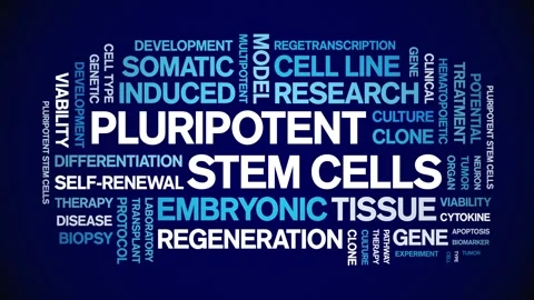 Pluripotent Stem Cells animated word cloud,animation kinetic typography loop. Stock Footage 311421032