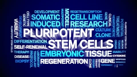 Pluripotent Stem Cells animated word cloud,animation kinetic typography loop. Stock Footage 311421091