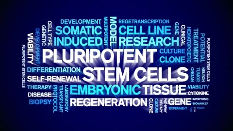 Pluripotent Stem Cells animated word cloud,animation kinetic typography loop. Stock Footage 311421107