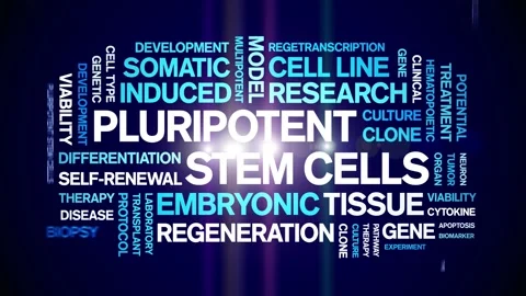 Pluripotent Stem Cells animated word cloud,animation kinetic typography loop. Stock Footage 311421126