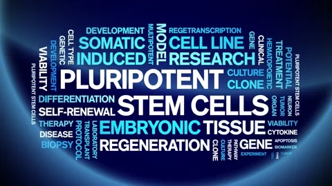 Pluripotent Stem Cells animated word cloud,animation kinetic typography loop. Stock Footage 311421179